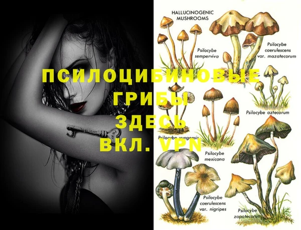 первитин Алзамай