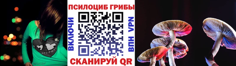 Галлюциногенные грибы Psilocybe  кракен ТОР  Саров  дарнет шоп 