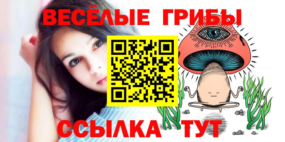 Саров  Галлюциногенные грибы мухоморы  Вход с VPN 
